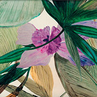 Tropici