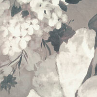 Dove grey