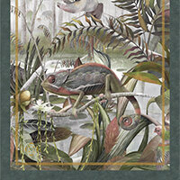 Jungle