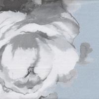 Nuvola