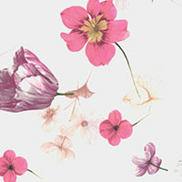 Powder pink
