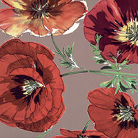 Castagna