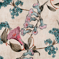 Powder pink