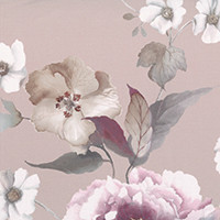 Dove Grey