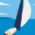 Mare