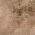 Wood 2