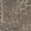 Dove Grey