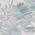 Anise